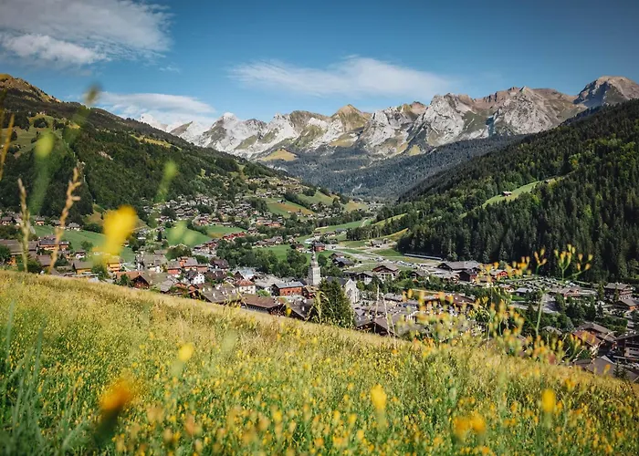 Studio Montagnard Au Centre Du Grand-Bornand, Proche Pistes Et Bien-Etre - Fr-1-467-27