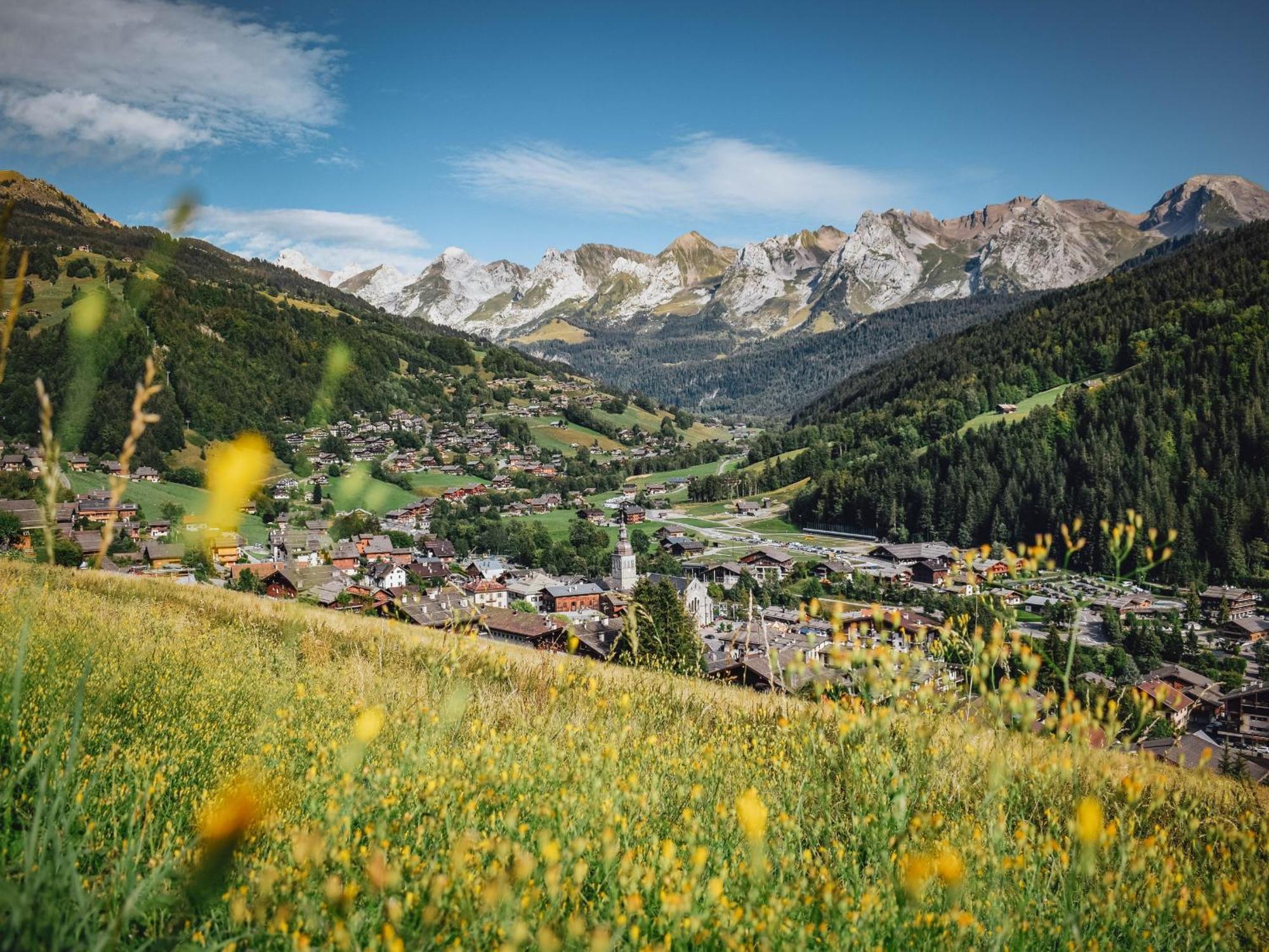Apartment Studio Montagnard Au Centre Du Grand-Bornand, Proche Pistes Et Bien-Etre - Fr-1-467-27 Le Grand-Bornand