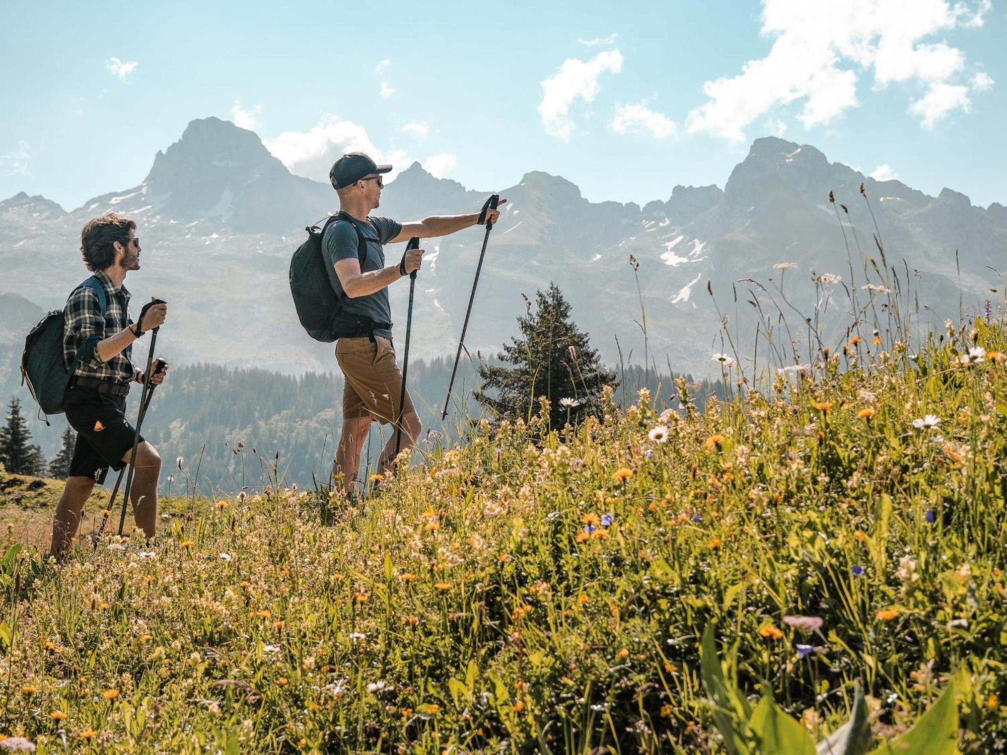 Apartment Studio Montagnard Au Centre Du Grand-Bornand, Proche Pistes Et Bien-Etre - Fr-1-467-27 Le Grand-Bornand
